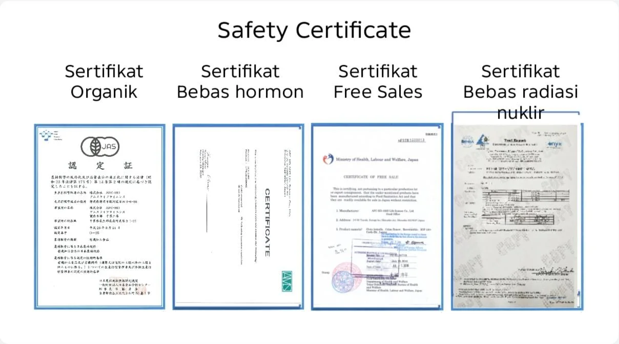 Safety Certificate AFC Japan: Sertifikat Organik, Bebas Hormon, Free Sales, dan Bebas Radiasi Nuklir