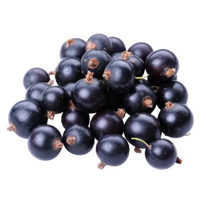 Blackcurrant